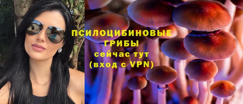 Псилоцибиновые грибы MAGIC MUSHROOMS  Каргополь 